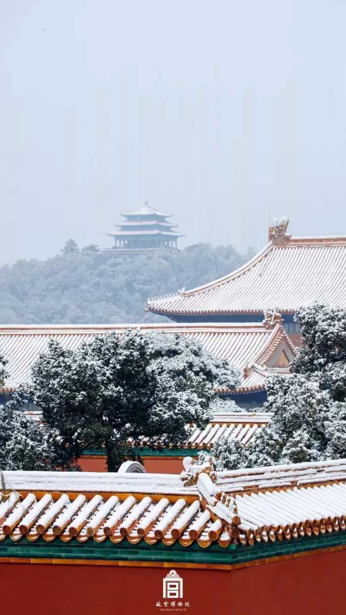 故宫下雪啦！20张雪景大片看尽紫禁城雪落：这才是人间真绝色！