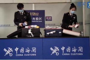 天津滨海机场海关查获动漫卡片、挂件等1252件